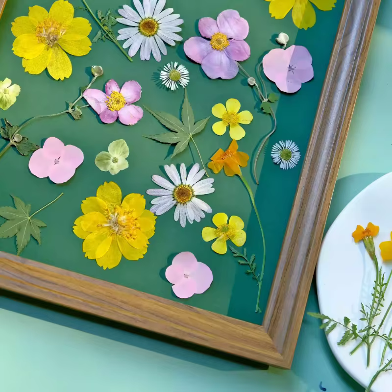 12 pièces, fleurs de souci séchées pressées jaunes et de Zinnia avec tiges-fournitures artisanales de bricolage pour