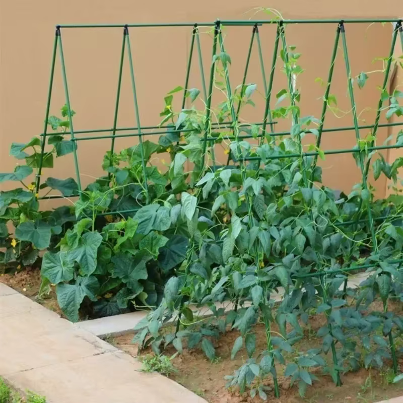 Nouveau 2026 Treillis de support robuste pour plantes grimpantes