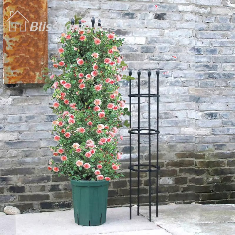 【S】1 ensemble de cages de soutien pour plantes grimpantes