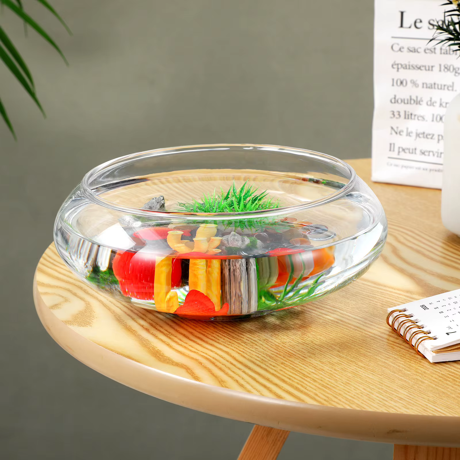 Pot de plante en verre transparent