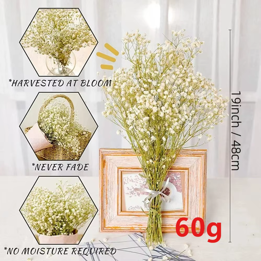 100g fleurs séchées souffle de bébé