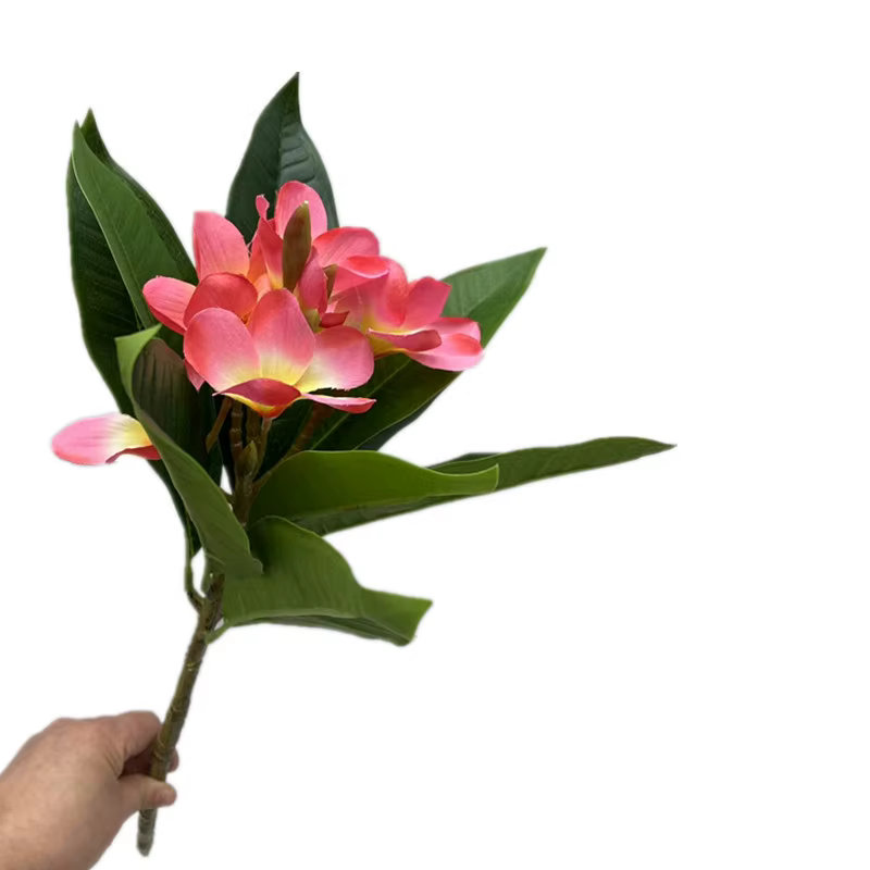 One Plumeria Rubra artificielle avec feuilles vertes au toucher réel