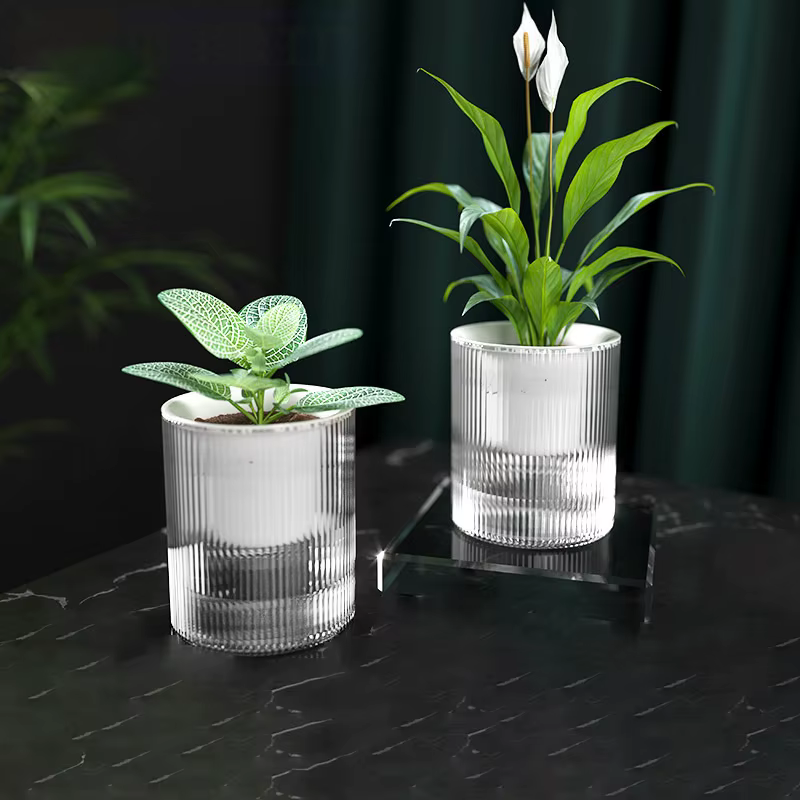 Pot de fleurs auto-arrosage pour plantes hydroponiques succulentes d'intérieur
