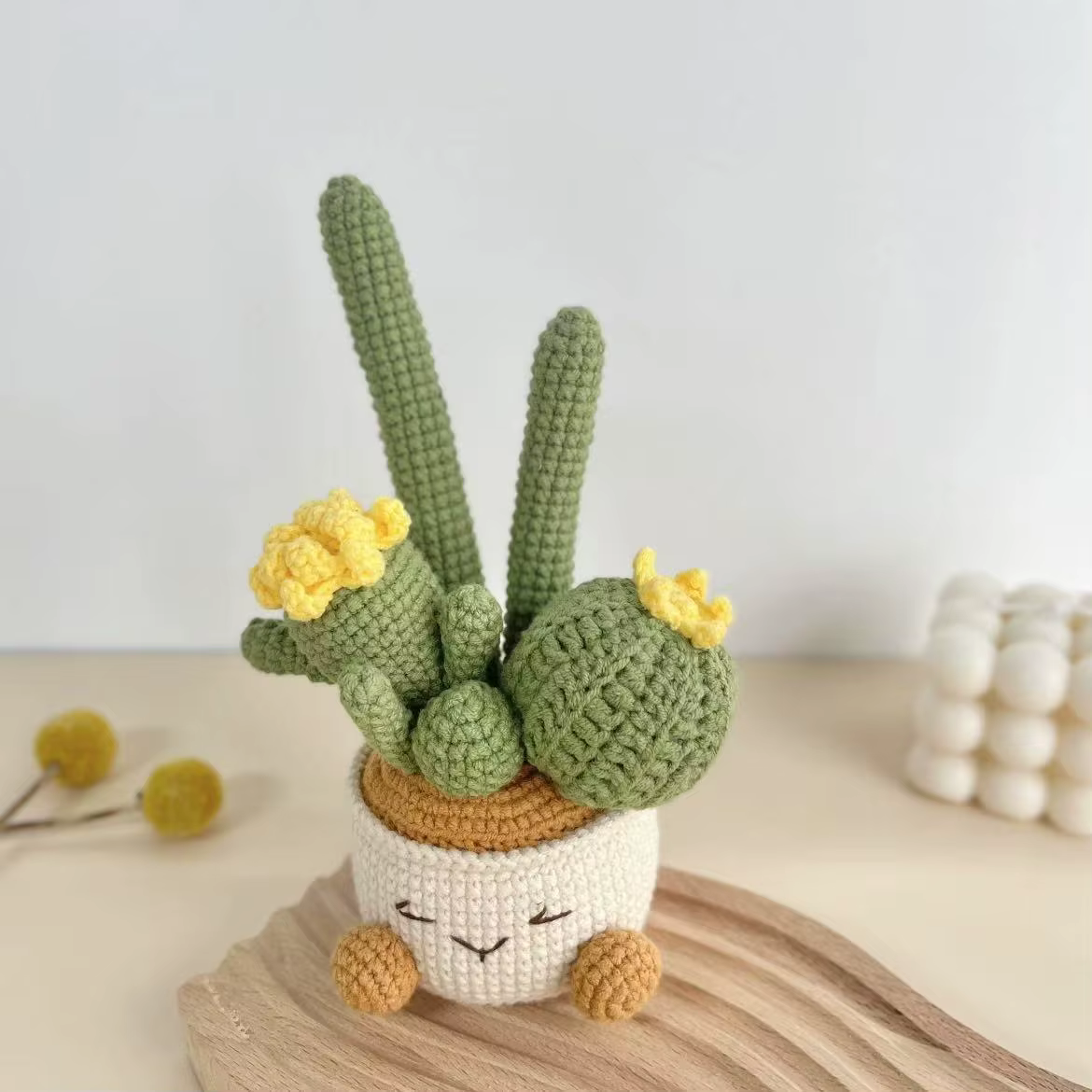 Plantes tricotées créatives en pot au Crochet