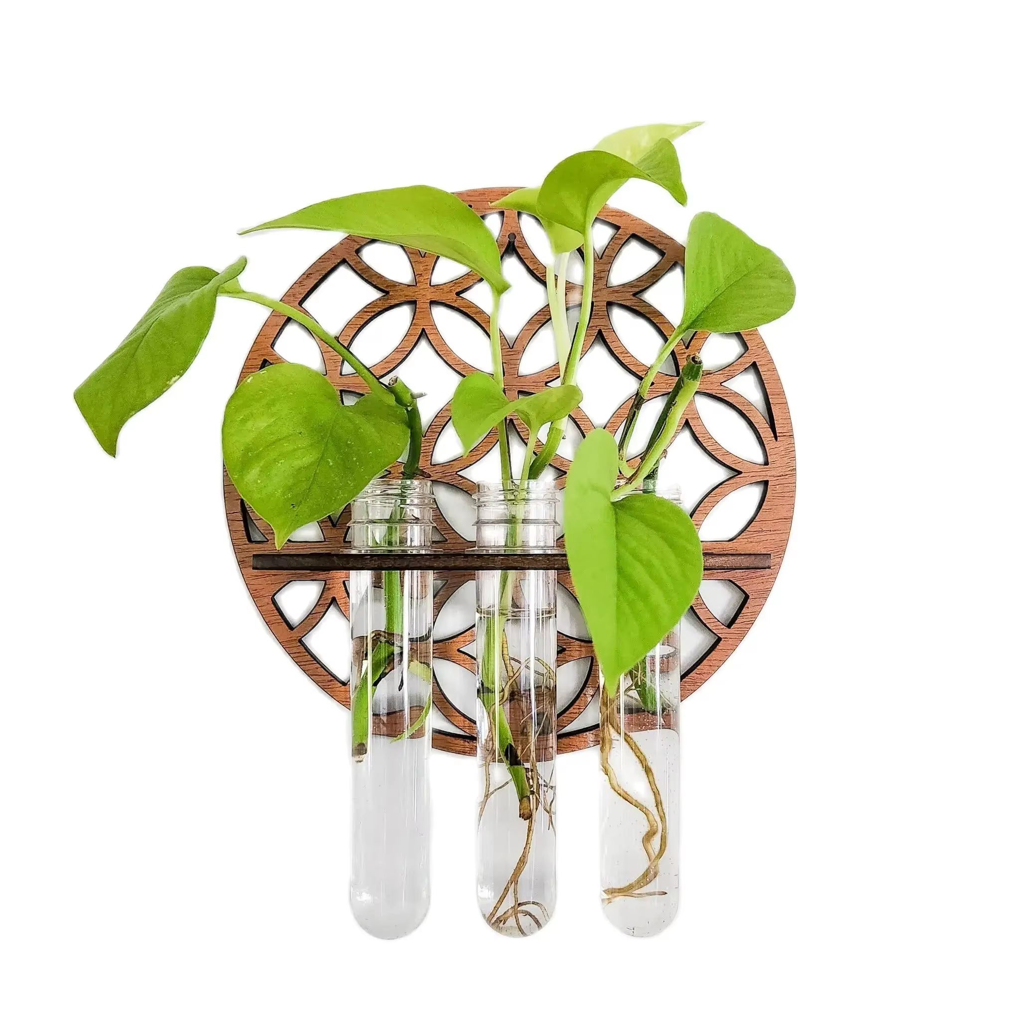 Jardinières murales pour plantes d'intérieur avec 3 Tubes à essai en plastique
