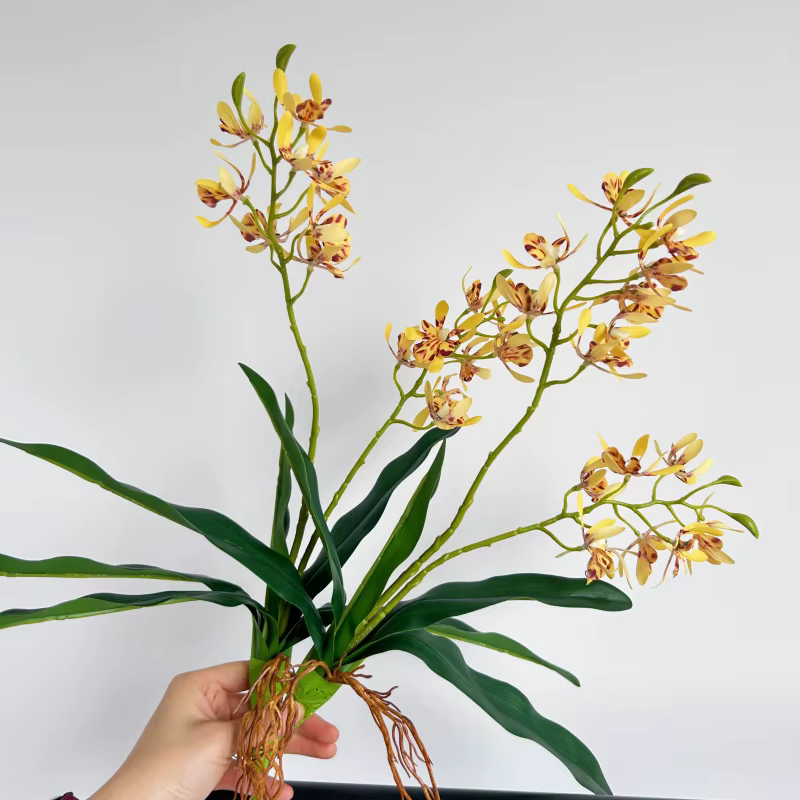 Orchidées artificielles au toucher réel