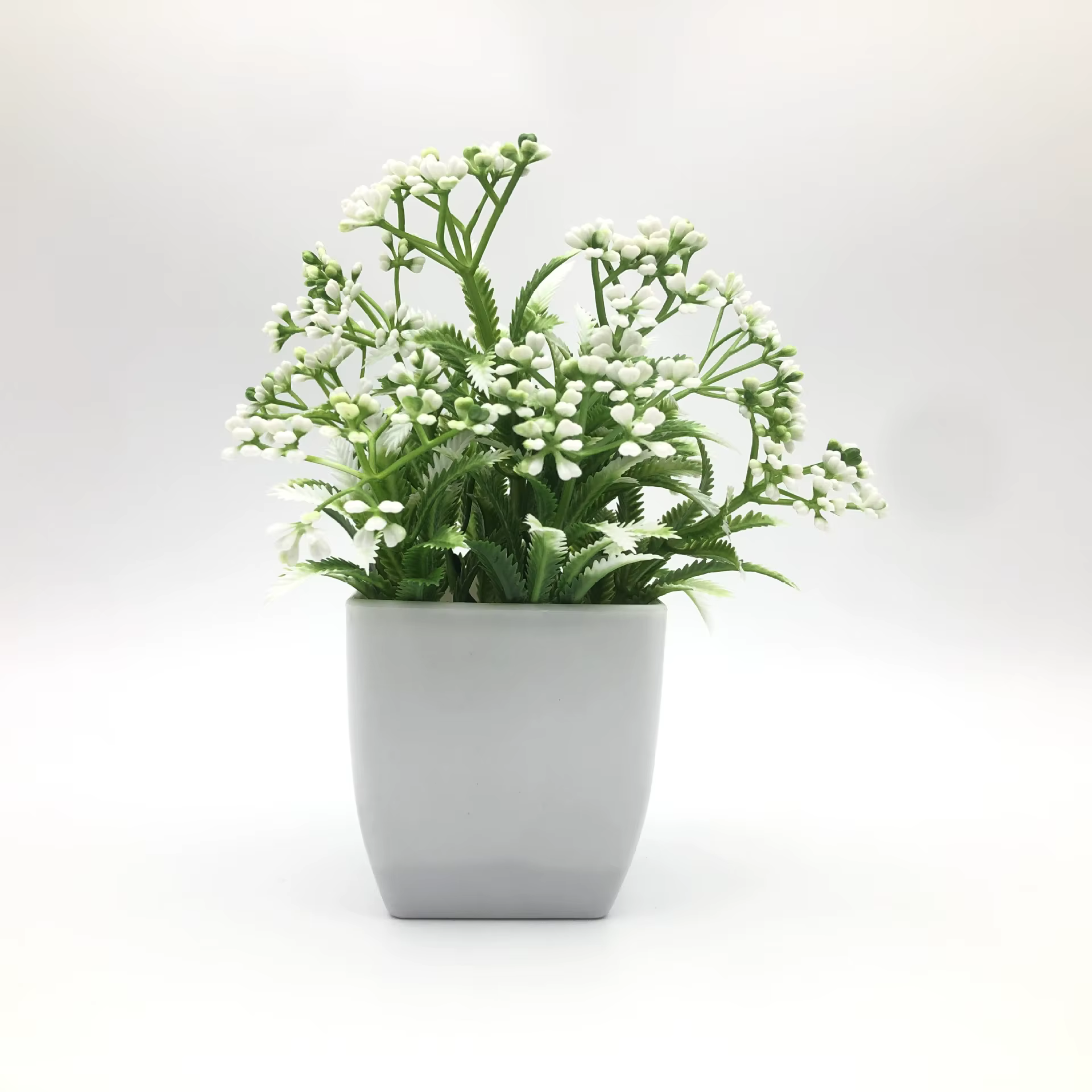 Simulation de plante verte