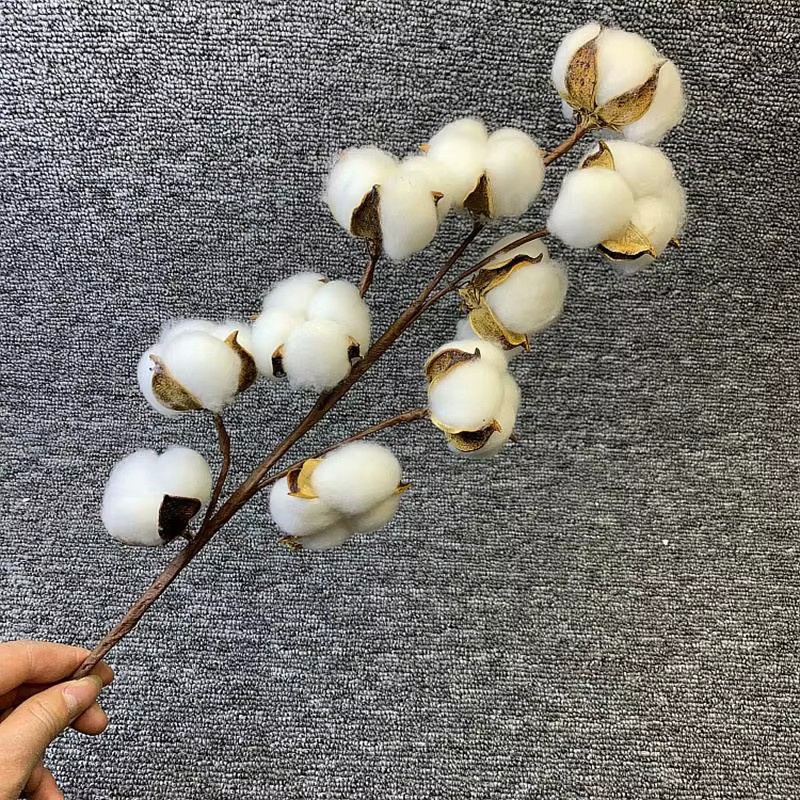 Fleurs artificielles en coton séché