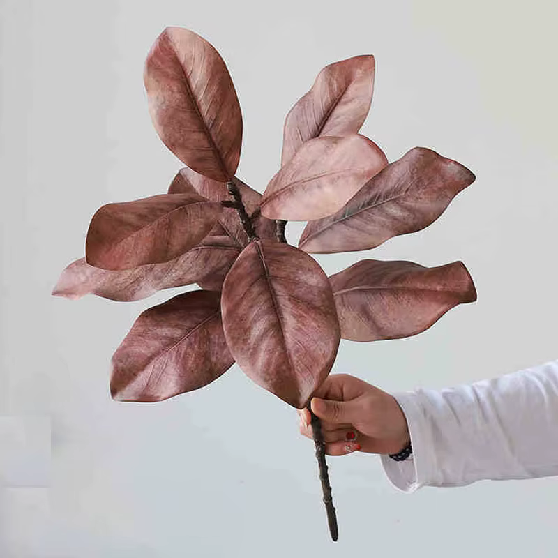 Plantes vertes de Simulation