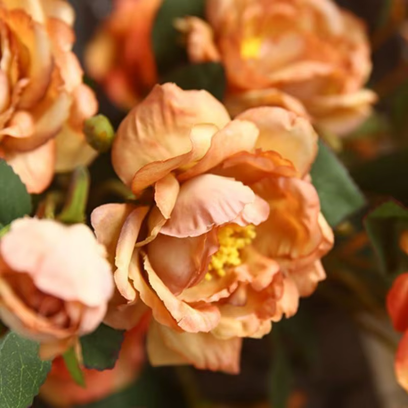 E8BD – ornement Floral pivoine
