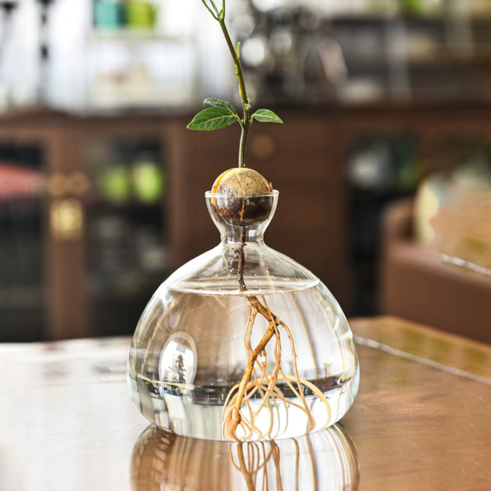 Kit de plantes en verre avec autocollants pour les amateurs de jardinage