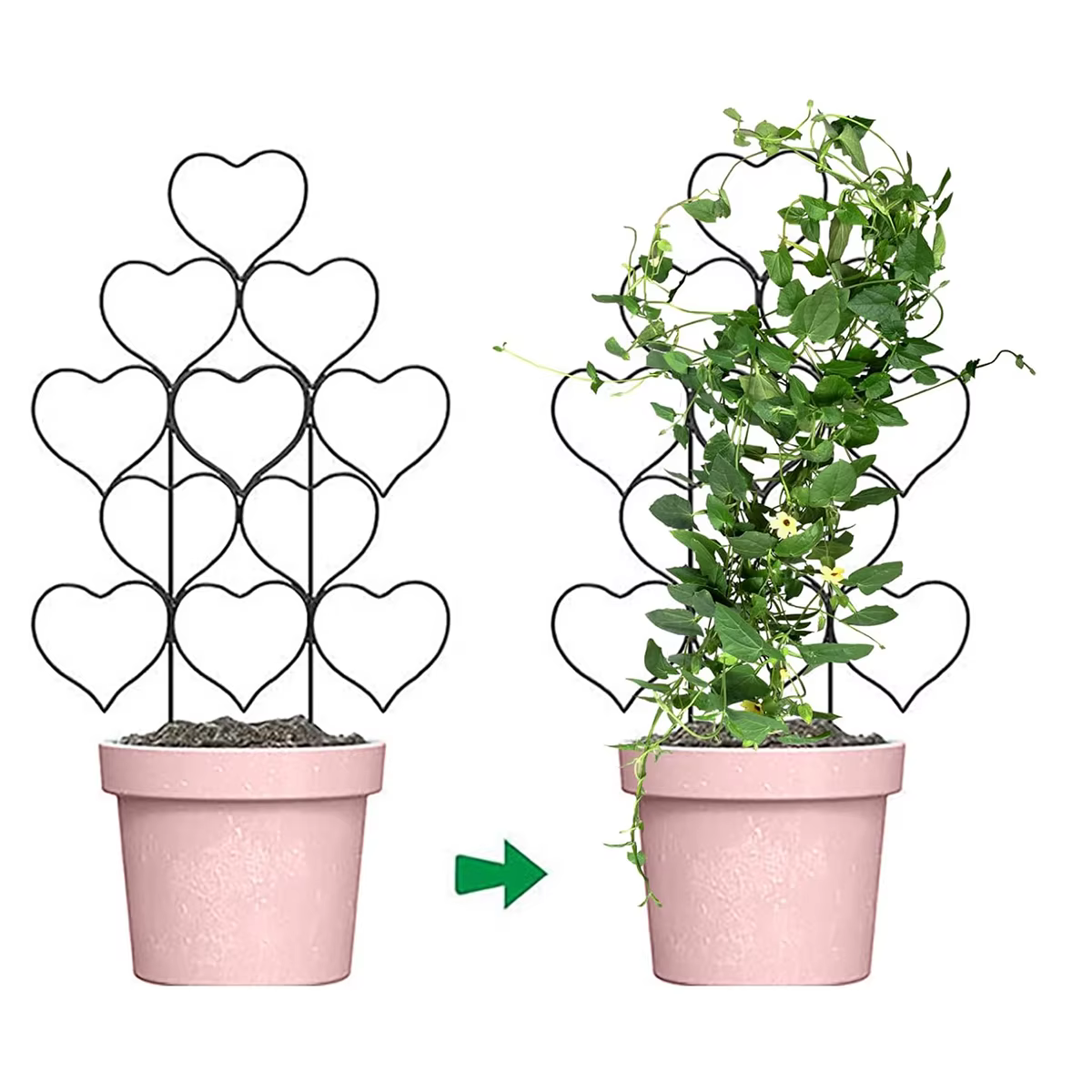 Support pour plantes, Gadgets de jardinage