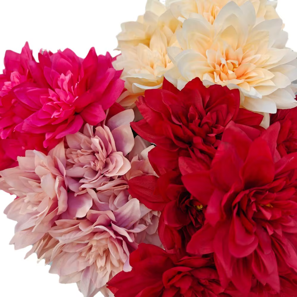 Simulation de fleur Dahlia à 7 têtes de grand diamètre