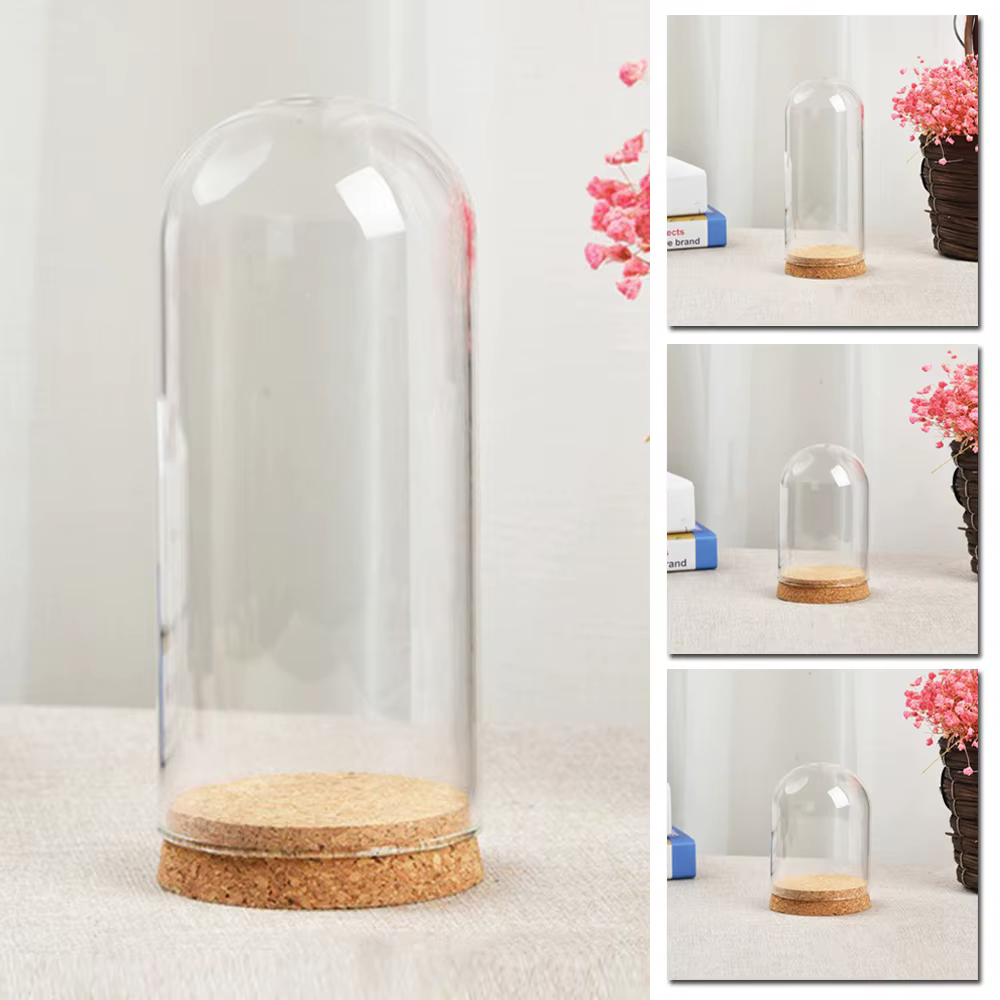 Couvercle de dôme en verre pour plantes succulentes