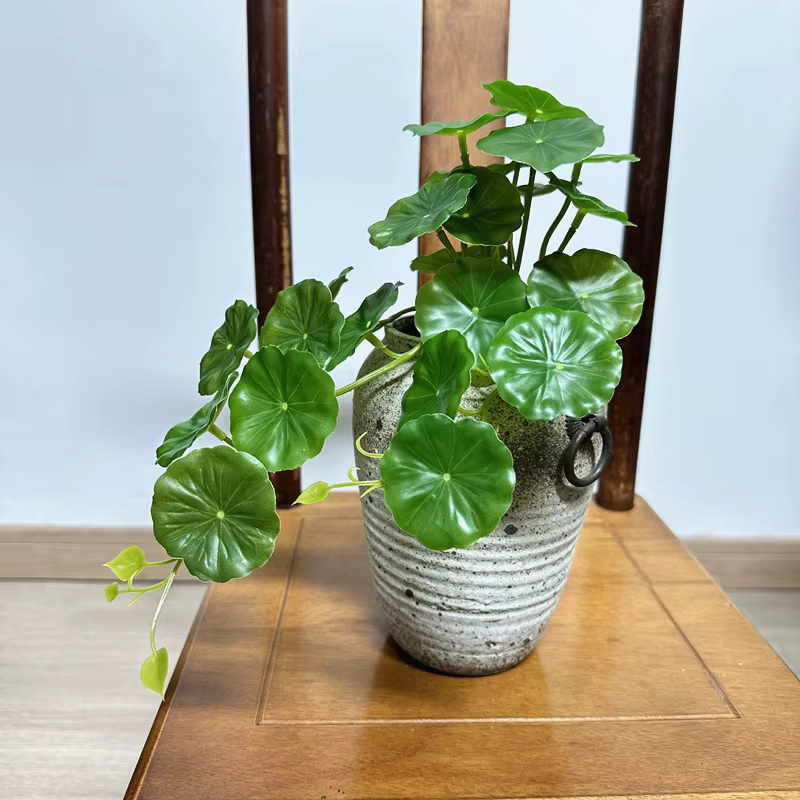 2 pièces de feuilles artificielles de Pilea Peperomioides