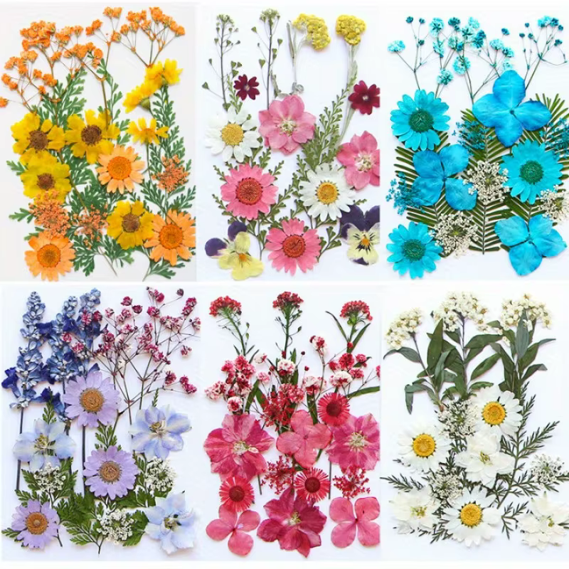14 styles de fleurs séchées DIY, élégantes et magnifiques, fleurs artificielles de mignonnonneux, décoration créative simple de fleurs pressées