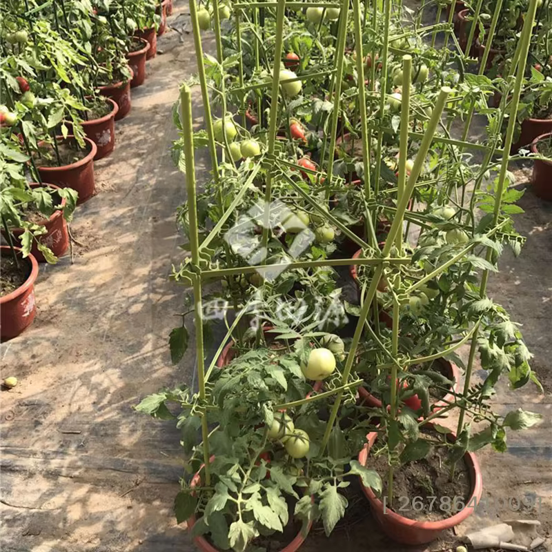 ♥ Kit de support pour plantes de tomates DIY – Piquets et anneaux empilables pour légumes et fleurs grimpantes | 〔YY33〕