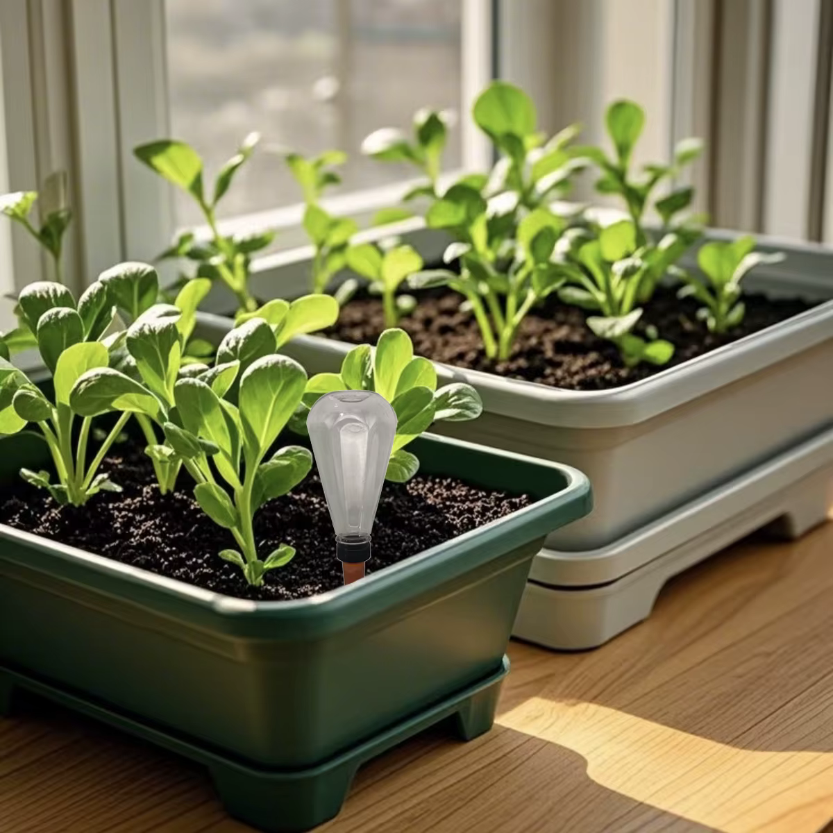 Arrosage automatique des plantes d'intérieur