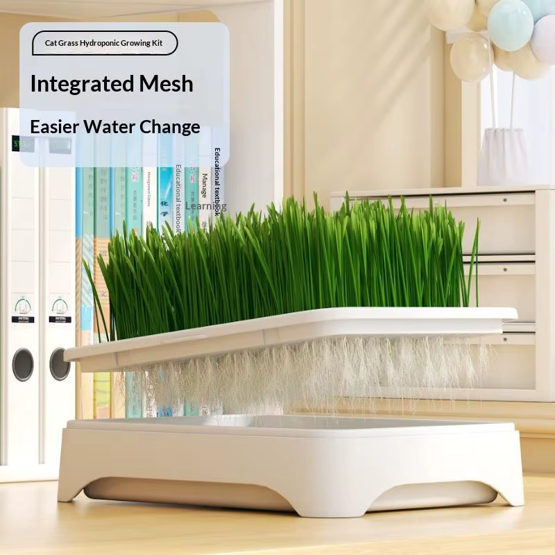 ㈅ Bac de culture hydroponique pour herbe à chat, pot de semis de blé sans terre, dispositif hydroponique pour herbe pour chatons, pot de culture horticole