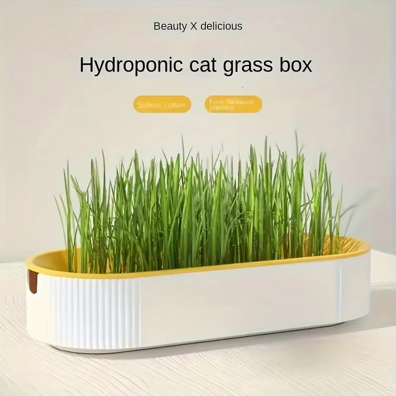 Boîte de plantation hydroponique pour chat