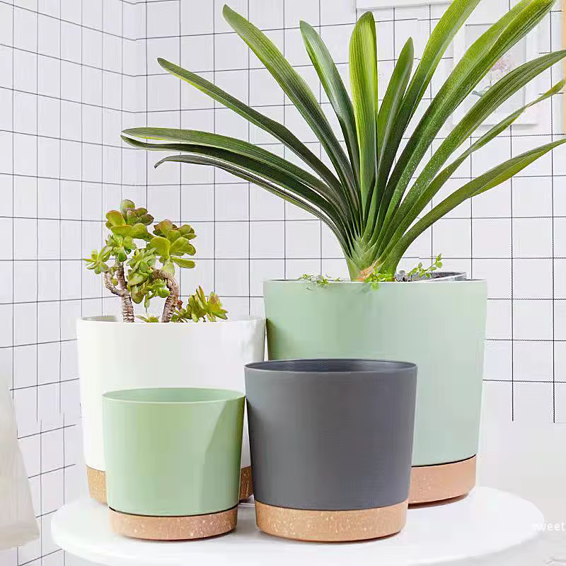 Pot De Fleur Intérieur