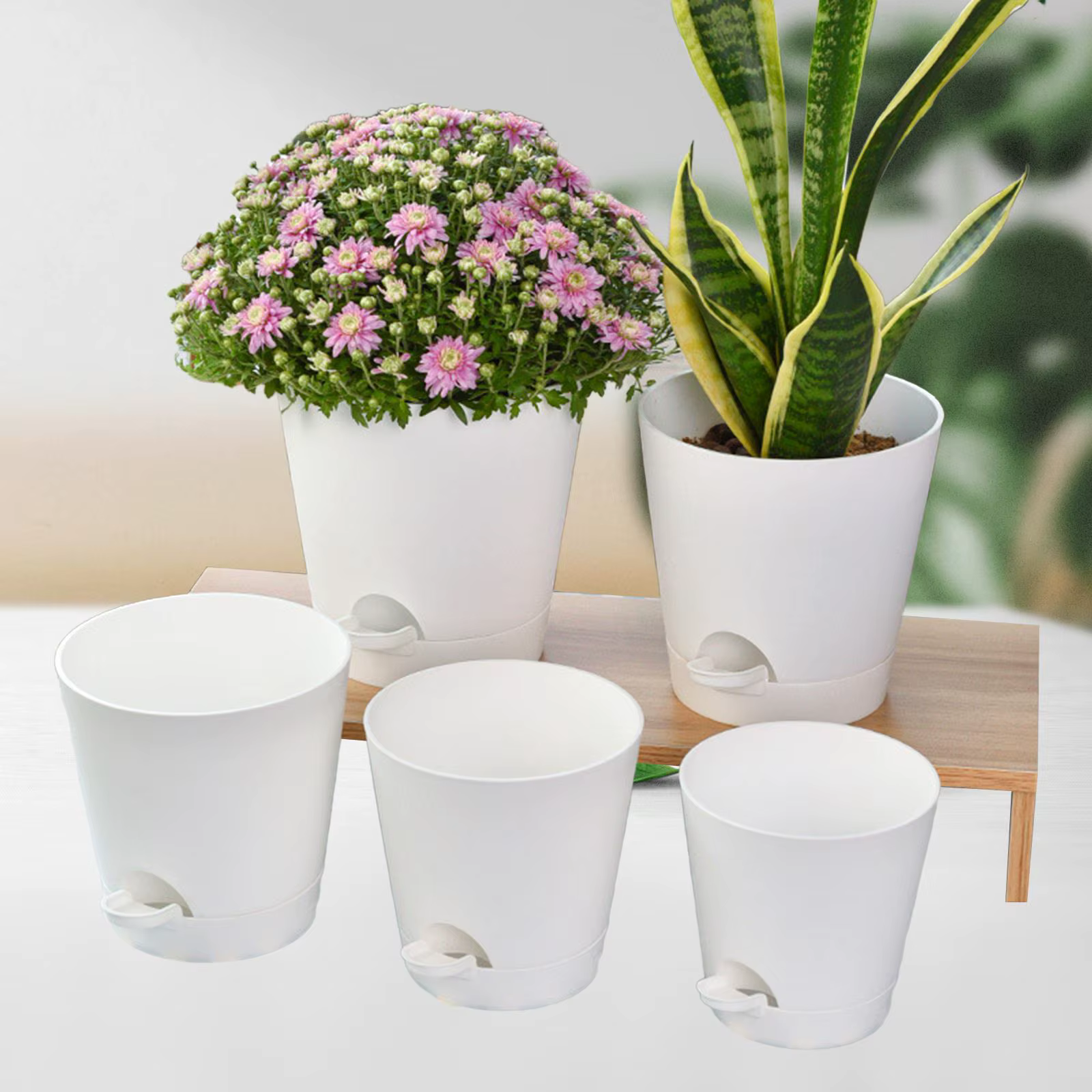 5 pots auto-arrosants, pots de pépinière pour personnes pressées