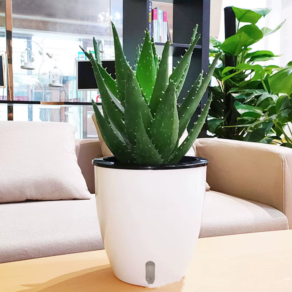 Pots de fleurs innovants