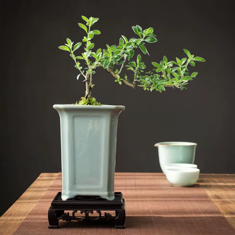 Pot de plante orchidée de style chinois Geyao