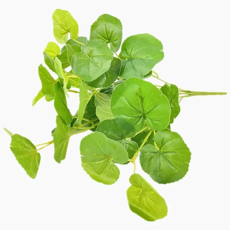 Plante de Simulation en plastique d'aloès vert