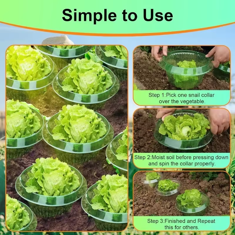 Anneaux de Protection des limaces pour plantes