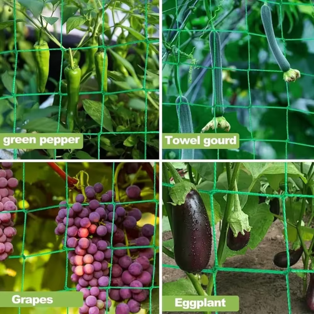Pergola treillis robuste en polyester avec maille carrée pour plantes grimpantes et légumes