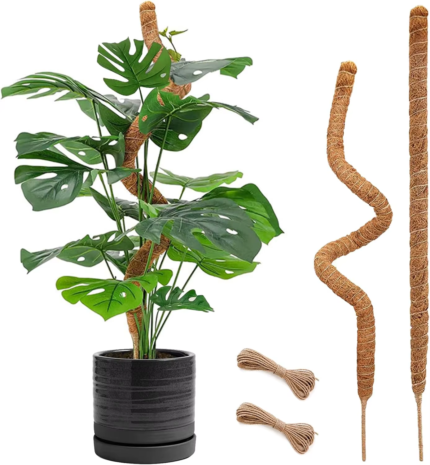 Poteaux Pliables pour Plantes Monstera