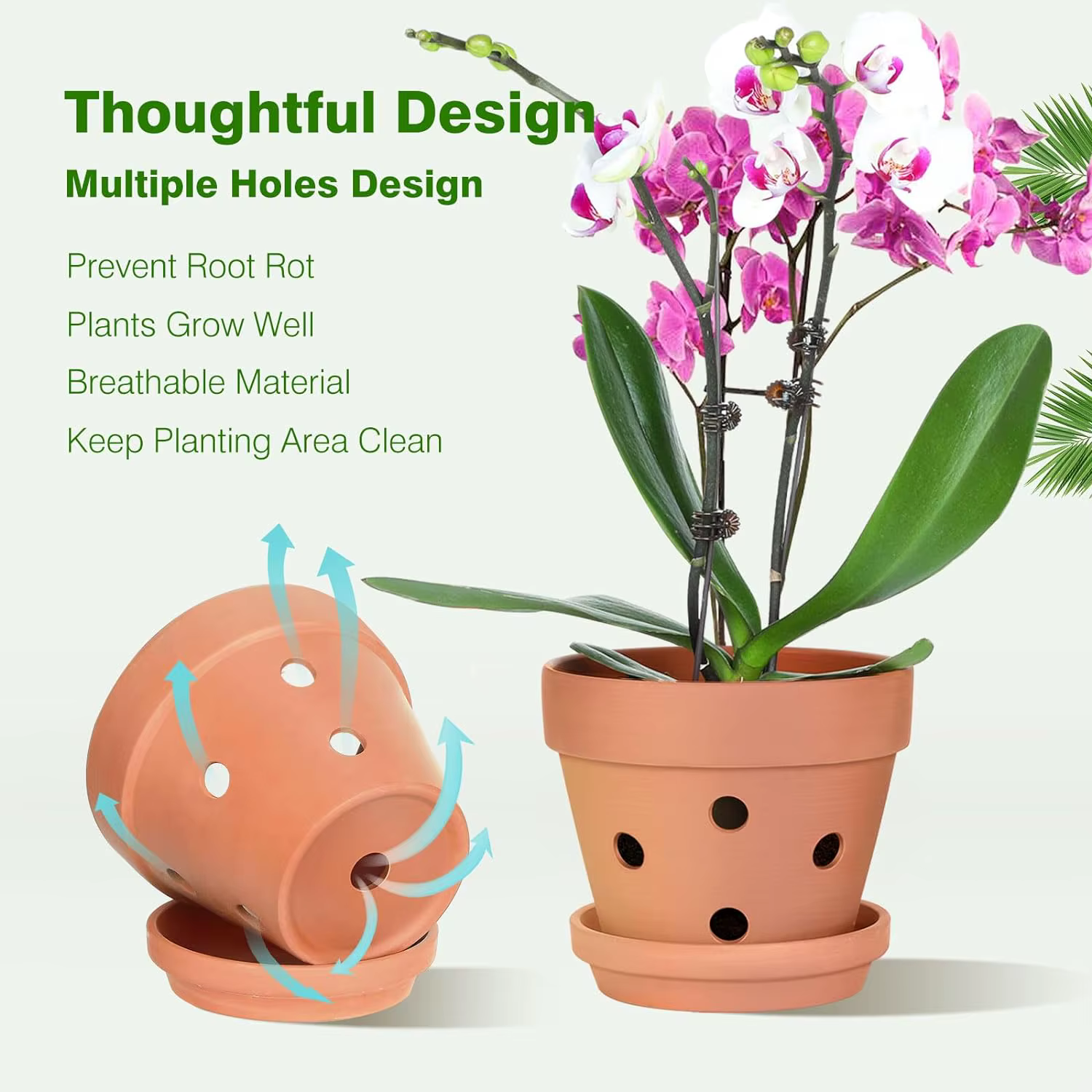 6 pots à orchidées en terre cuite de 4 pouces avec trous et soucoupes - Petits