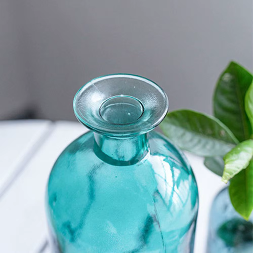 Vase à fleurs hydroponique transparent