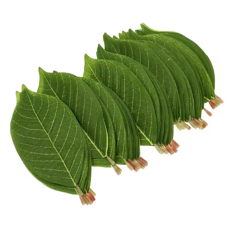 Ensemble de 20 feuilles de magnolia artificielles conçues pour les arrangements floraux