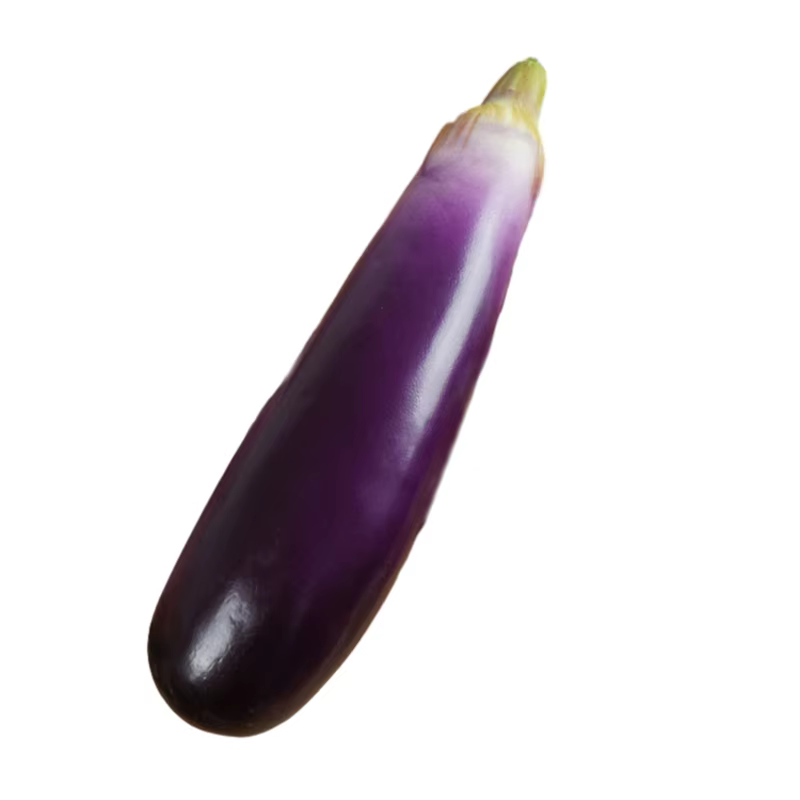 Simulation d'aubergines artificielles en mousse souple