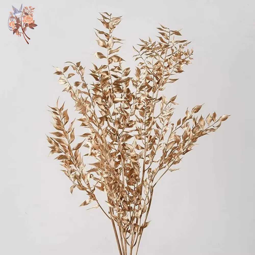 Bouquet de fleurs séchées de feuilles de Ruscus naturelles