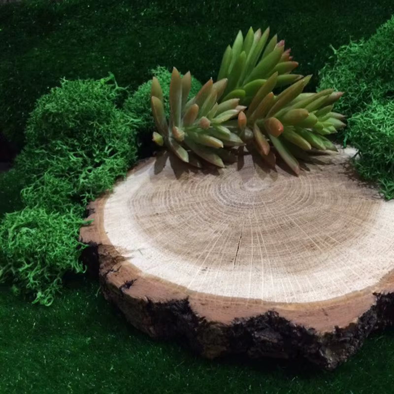 Mousse Naturelle Artificielle pour Décoration de Jardin