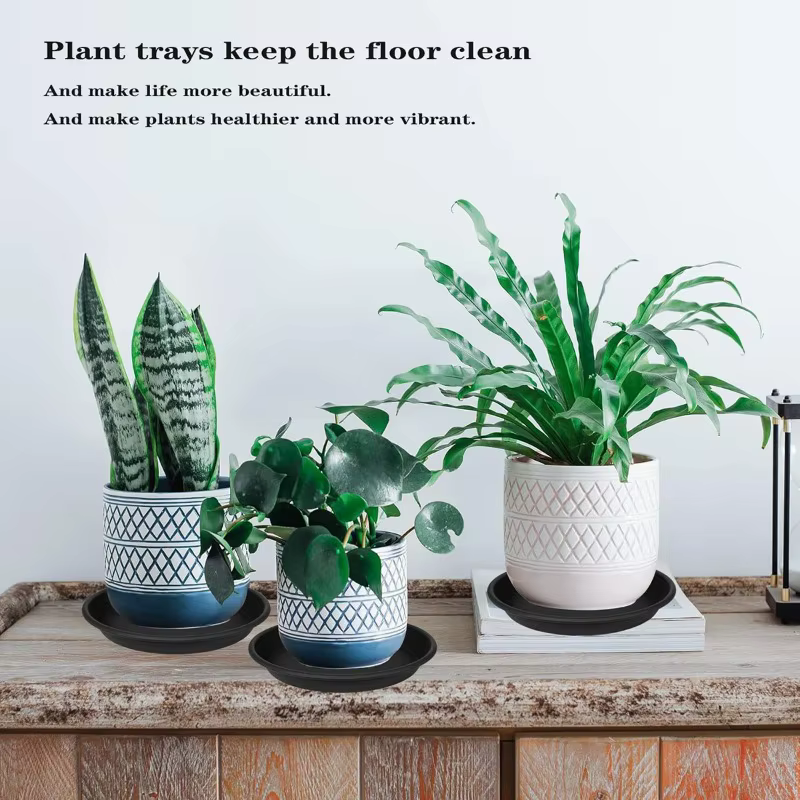 Soucoupe ronde en plastique de haute qualité pour plantes
