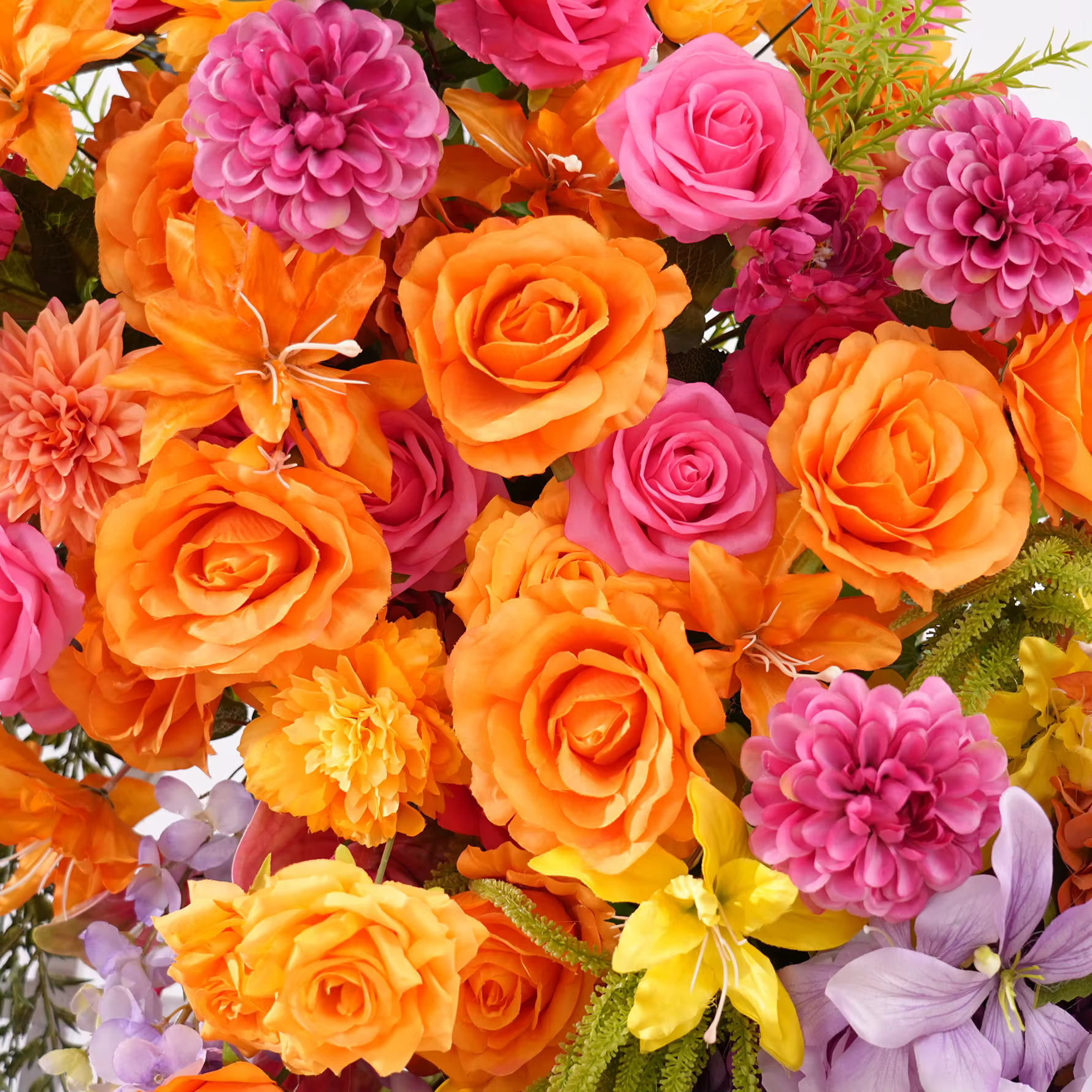 H8947 coloré Orange narcisse rouge Rose