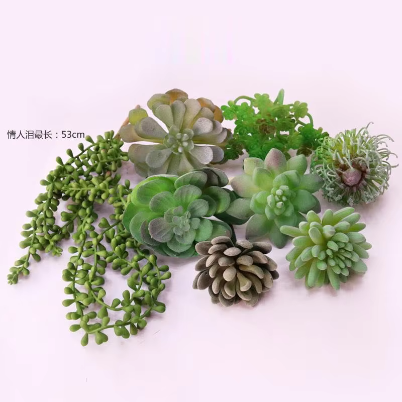 Plantes succulentes artificielles