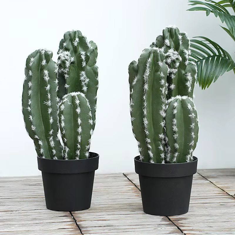 Plante succulente verte tropicale artificielle