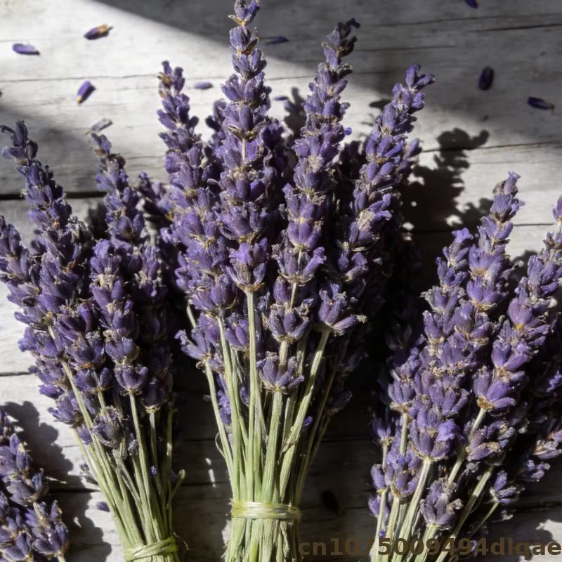 Fleur de lavande pour Sachet de pot-pourri