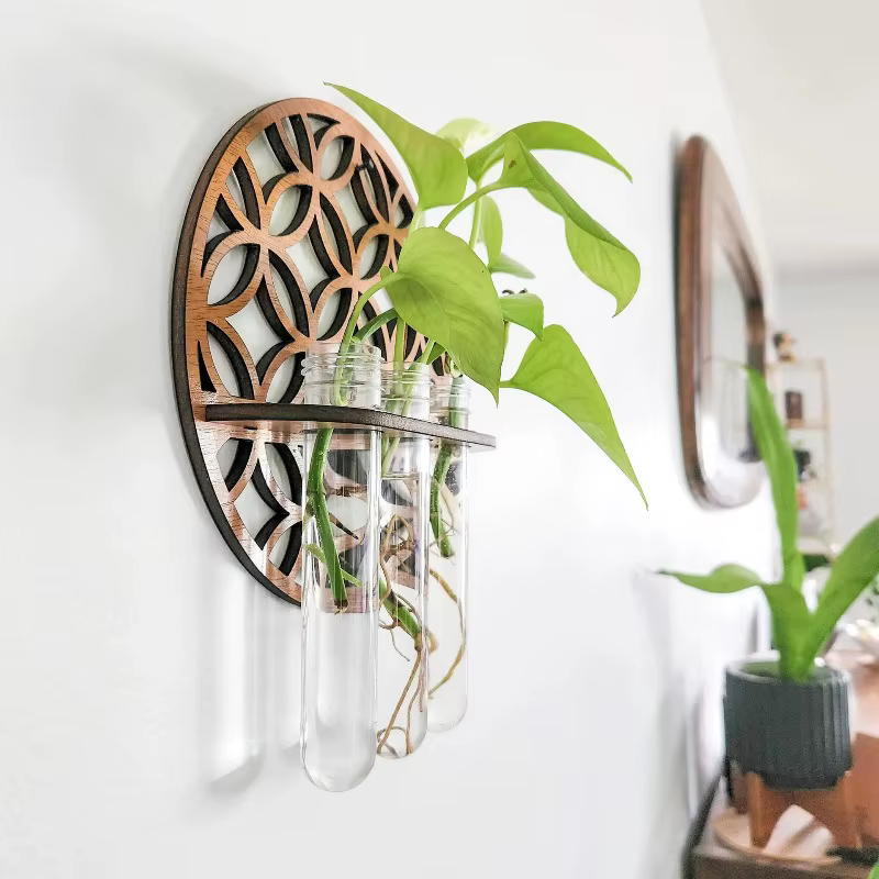 Station de propagation de plantes