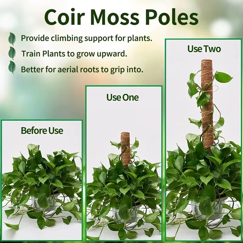 Support de grimpement pliable pour plantes