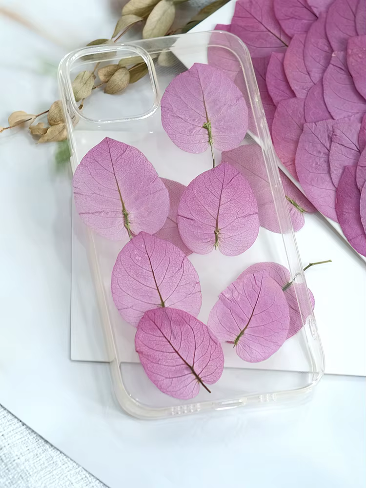 3-5cm/24 pièces, Fleurs de Bougainvillea Glabra pressées naturelles