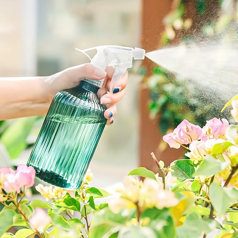 Bouteille de pulvérisation vide pour plantes