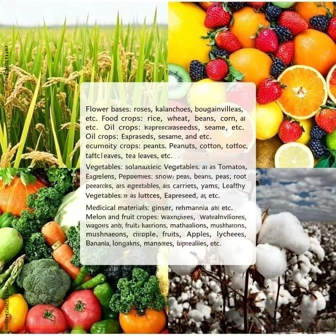 Engrais en poudre 6-benzylaminopurine pour bourgeons de fleurs, nutriment de jardinage pour fleurs, bonsaïs et plantes ornementales, supplément de croissance