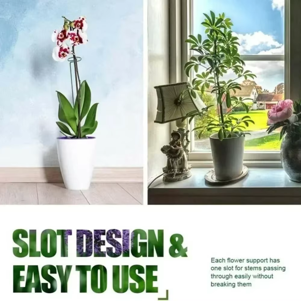 2 treillis pour plantes grimpantes extérieures