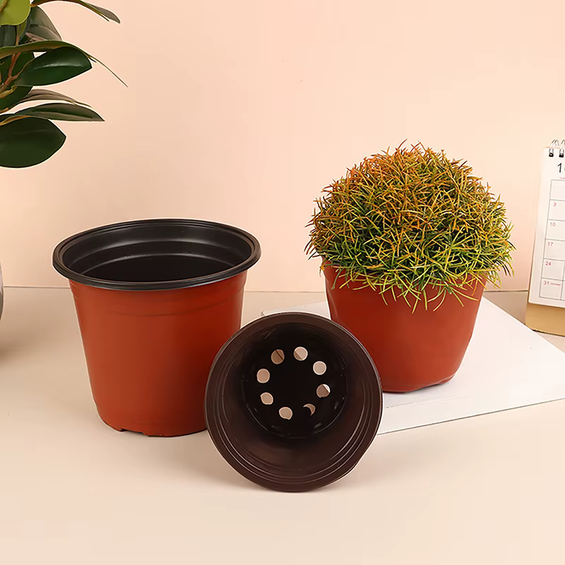 Pot de fleurs en plastique pour plantes succulentes